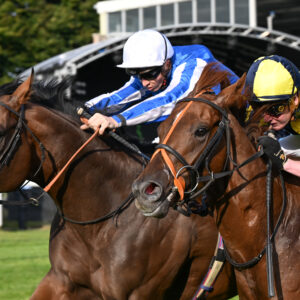 Salisbury Races Cara Glass Sponsored Race 