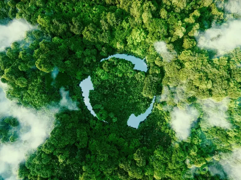 commitment to sustainability