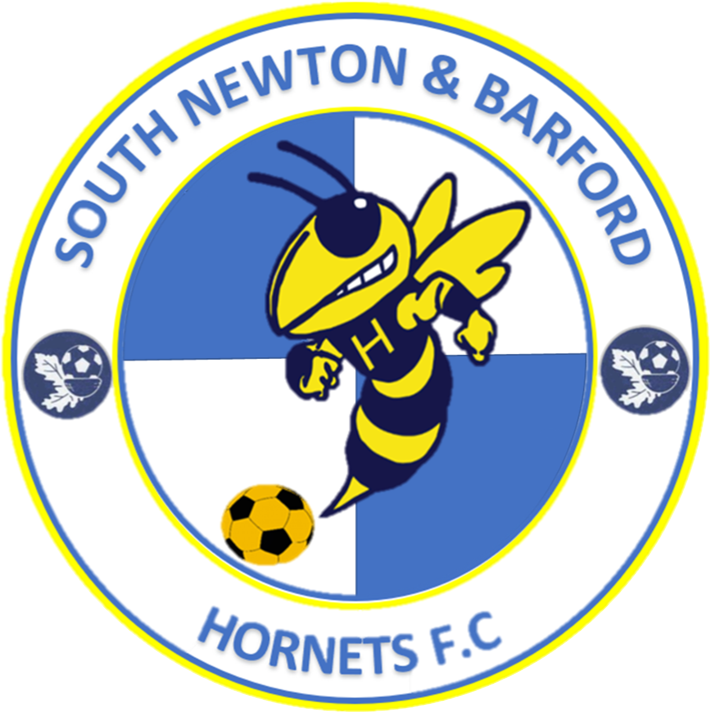 South Newton & Barford Hornets