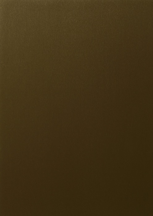 Bronze Residence window finish