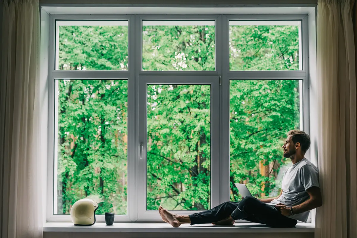 French Windows vs Standard Windows — French Windows Fordingbridge